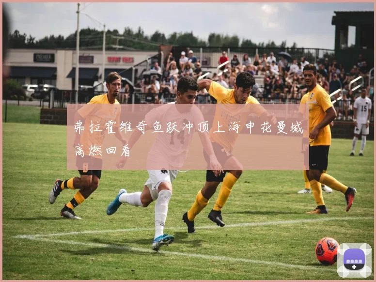 弗拉霍维奇鱼跃冲顶上海申花曼城高燃回看
