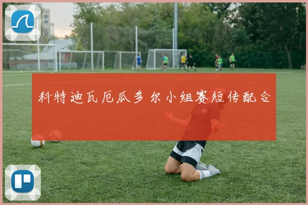 科特迪瓦厄瓜多尔小组赛短传配合