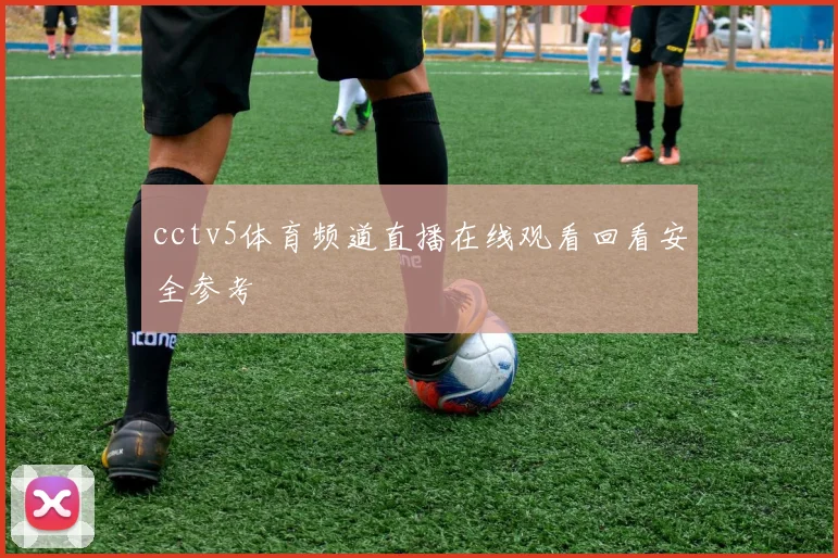 cctv5体育频道直播在线观看回看安全参考
