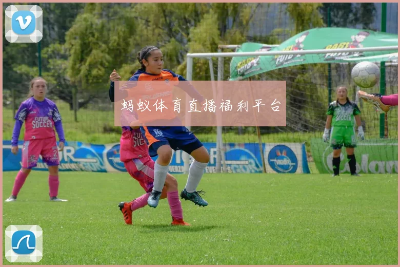 蚂蚁体育直播福利平台