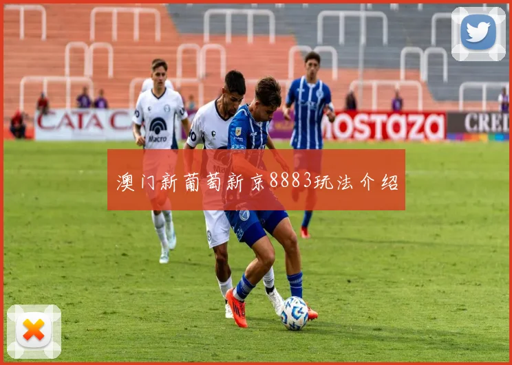 澳门新葡萄新京8883玩法介绍