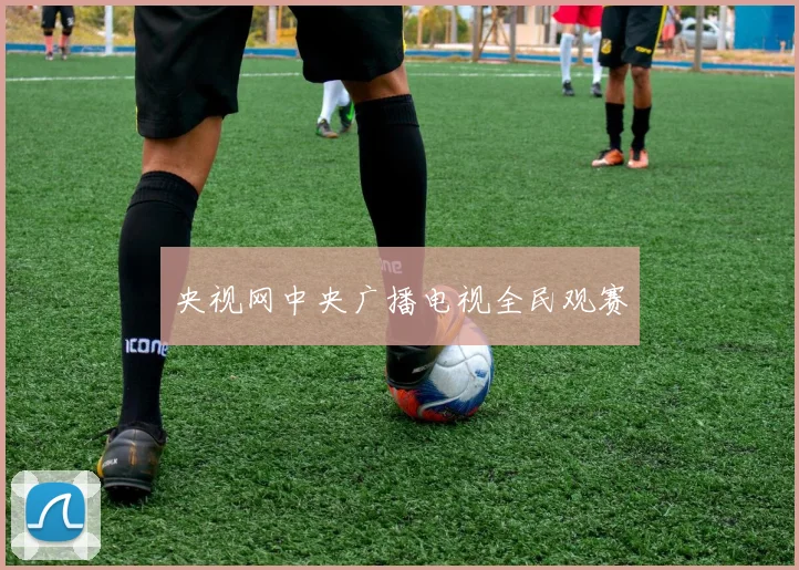 央视网中央广播电视全民观赛