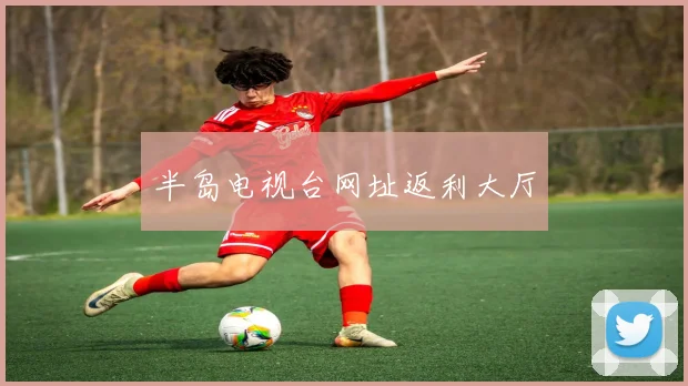 半岛电视台网址返利大厅
