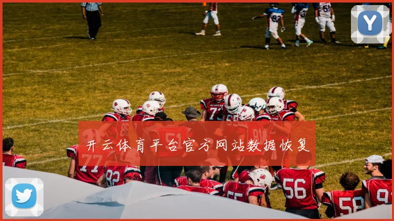 开云体育平台官方网站数据恢复