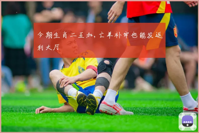 今期生肖二五加,亡羊补牢也能发返利大厅