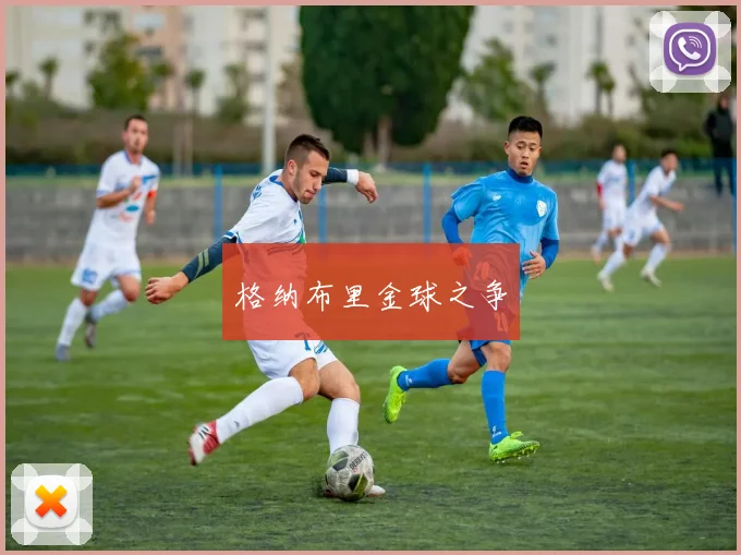 格纳布里金球之争