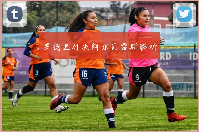 罗德里对决阿尔瓦雷斯解析