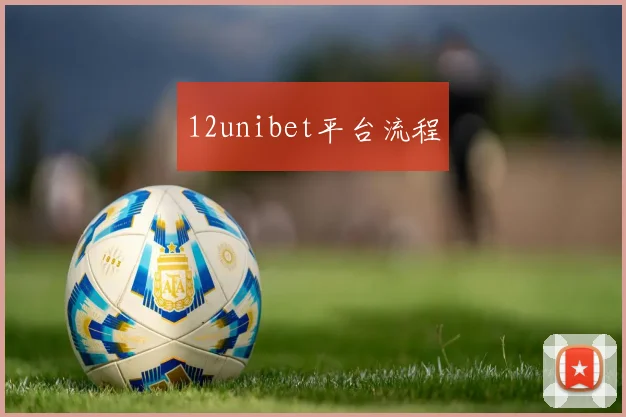 12unibet平台流程
