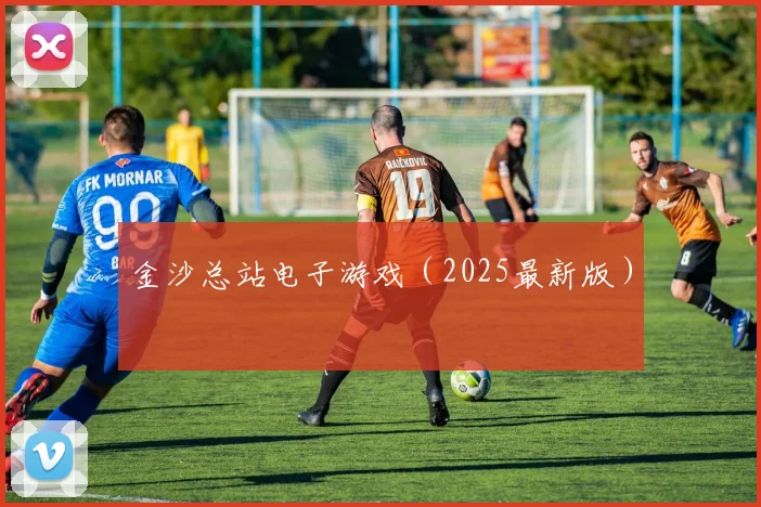 金沙总站电子游戏（2025最新版）
