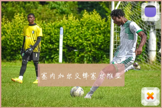 塞内加尔交锋塞尔维亚