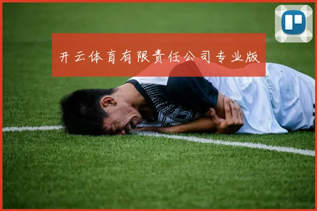开云体育有限责任公司专业版