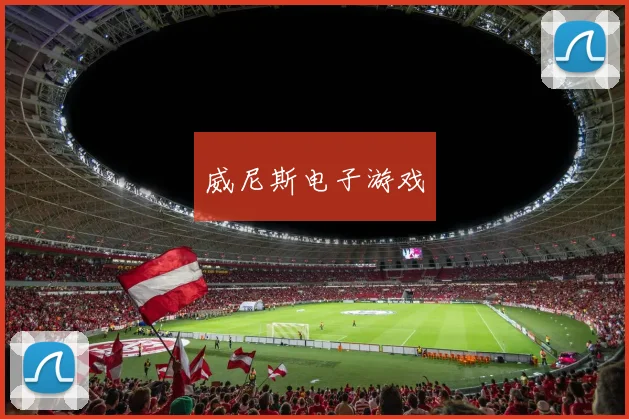 威尼斯电子游戏