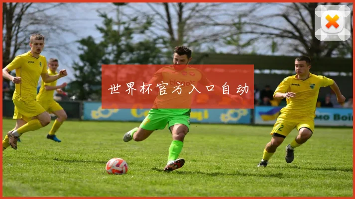 世界杯官方入口自动