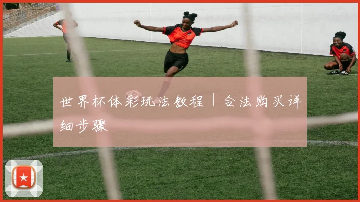 世界杯体彩玩法教程｜合法购买详细步骤