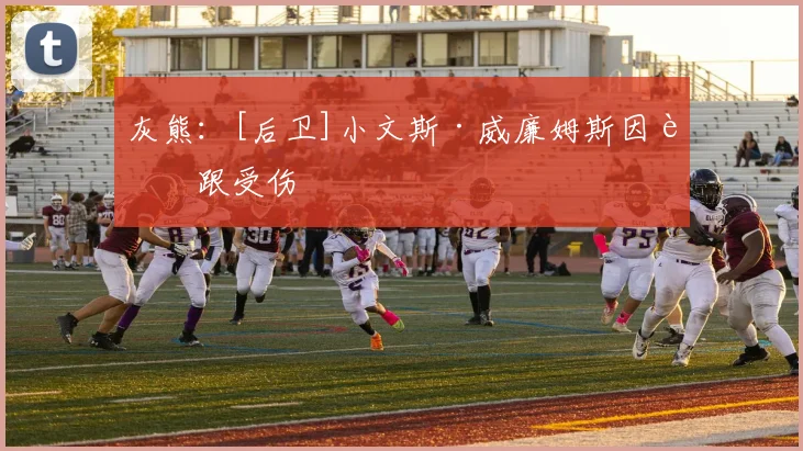 灰熊：[后卫]小文斯·威廉姆斯因足跟受伤