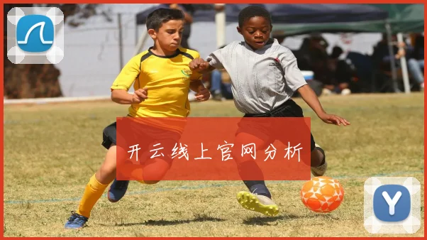 开云线上官网分析