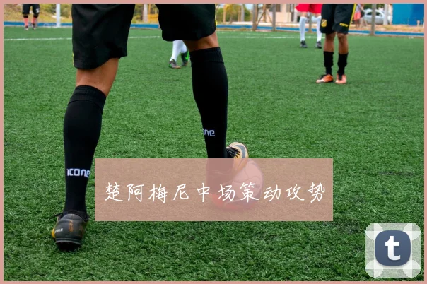 楚阿梅尼中场策动攻势