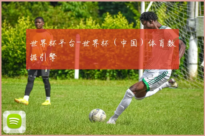 世界杯平台-世界杯（中国）体育数据引擎