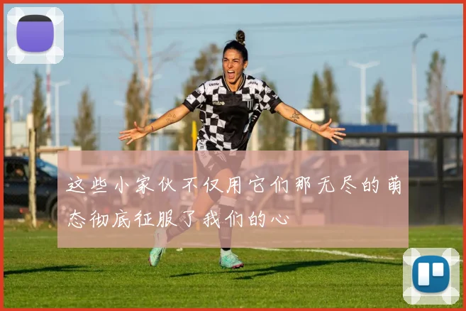 这些小家伙不仅用它们那无尽的萌态彻底征服了我们的心