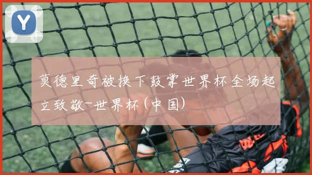 莫德里奇被换下鼓掌世界杯全场起立致敬-世界杯(中国)