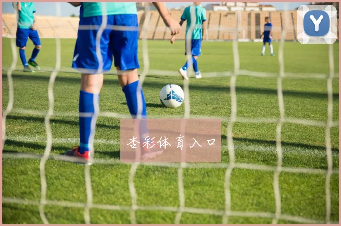 杏彩体育入口