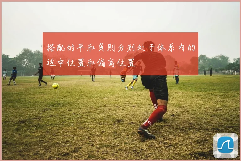 搭配的平和负则分别处于体系内的适中位置和偏高位置