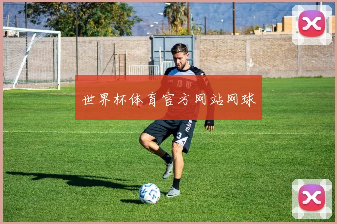 世界杯体育官方网站网球