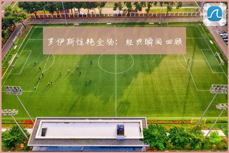 罗伊斯惊艳全场：经典瞬间回顾