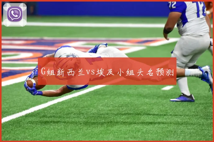 G组新西兰vs埃及小组头名预测