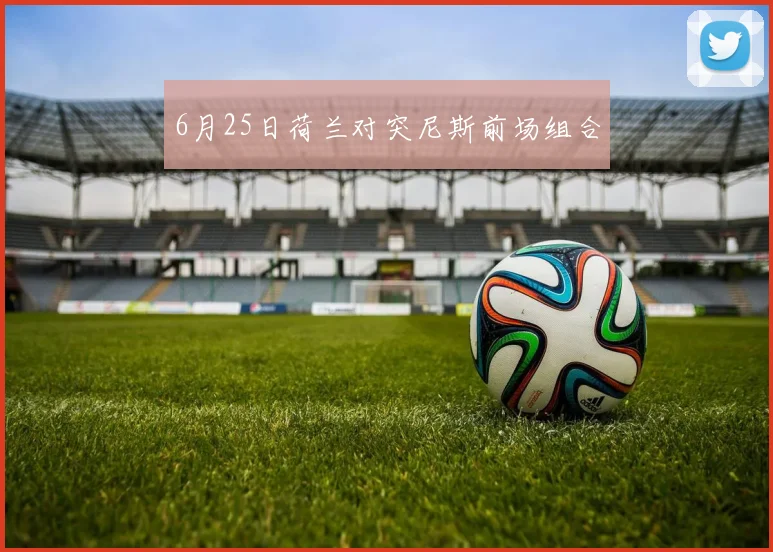 6月25日荷兰对突尼斯前场组合