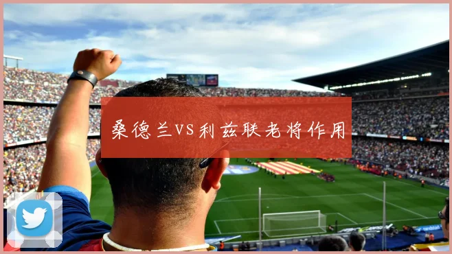 桑德兰vs利兹联老将作用